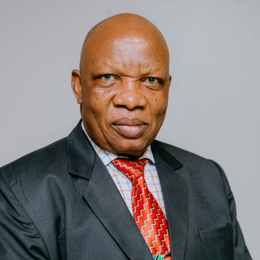 Prof. Ntengua S. Y. Mdoe