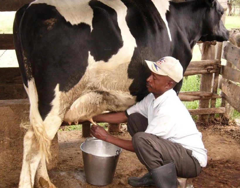 Tanzania inasajili mafanikio ya kuvutia katika sekta ndogo ya shajara
