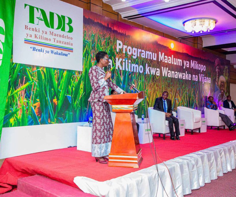 TADB provide loans of up to 150 million shillings to individuals and up to 500 million shillings to groups of Women and Youth